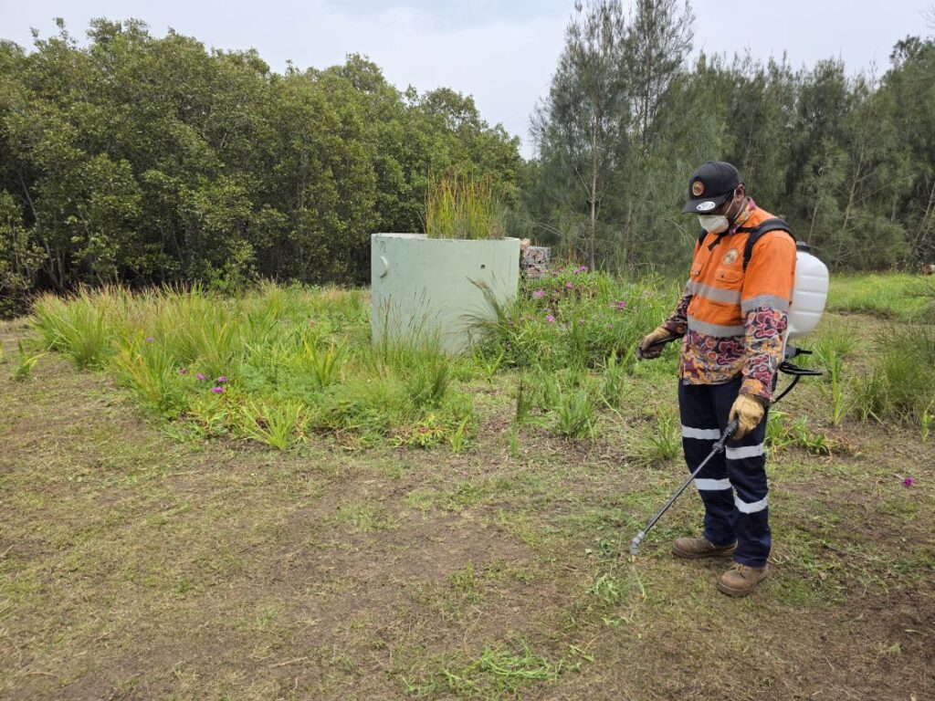 bindelong aboriginal corporation worker spraying weeds