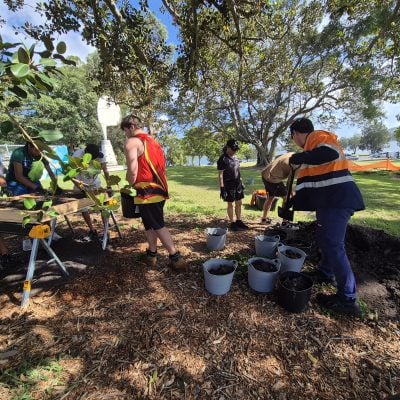 bindelong aboriginal corporation land restoration and planting