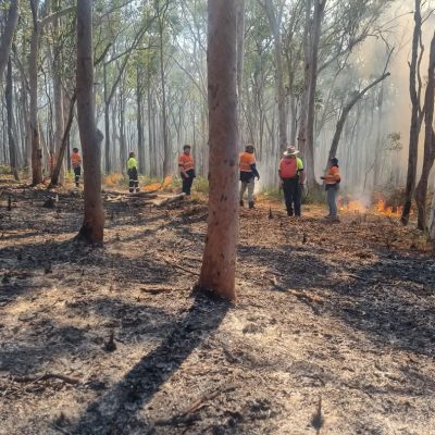 bindelong aboriginal corporation team conducting a hazard reduction burn