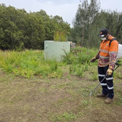 bindelong aboriginal corporation worker spraying weeds